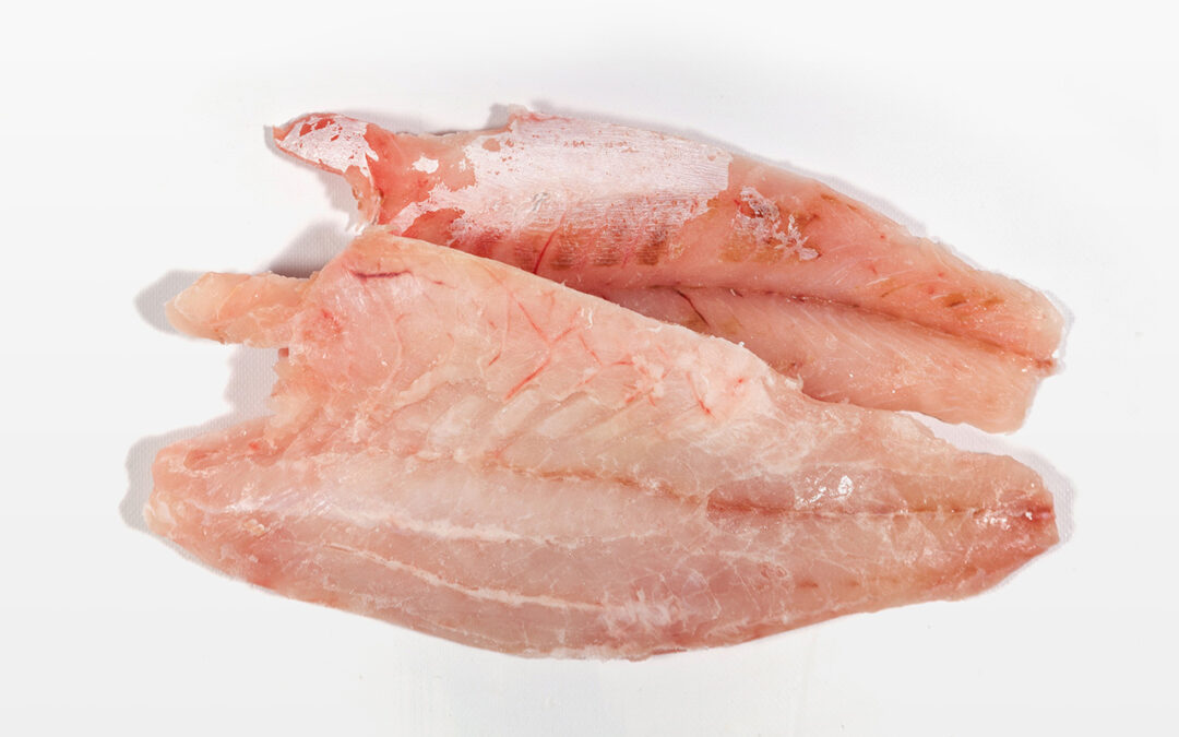 Filete de perca congelado