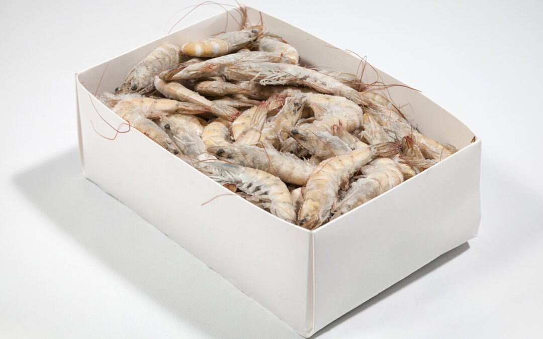 Langostino congelado