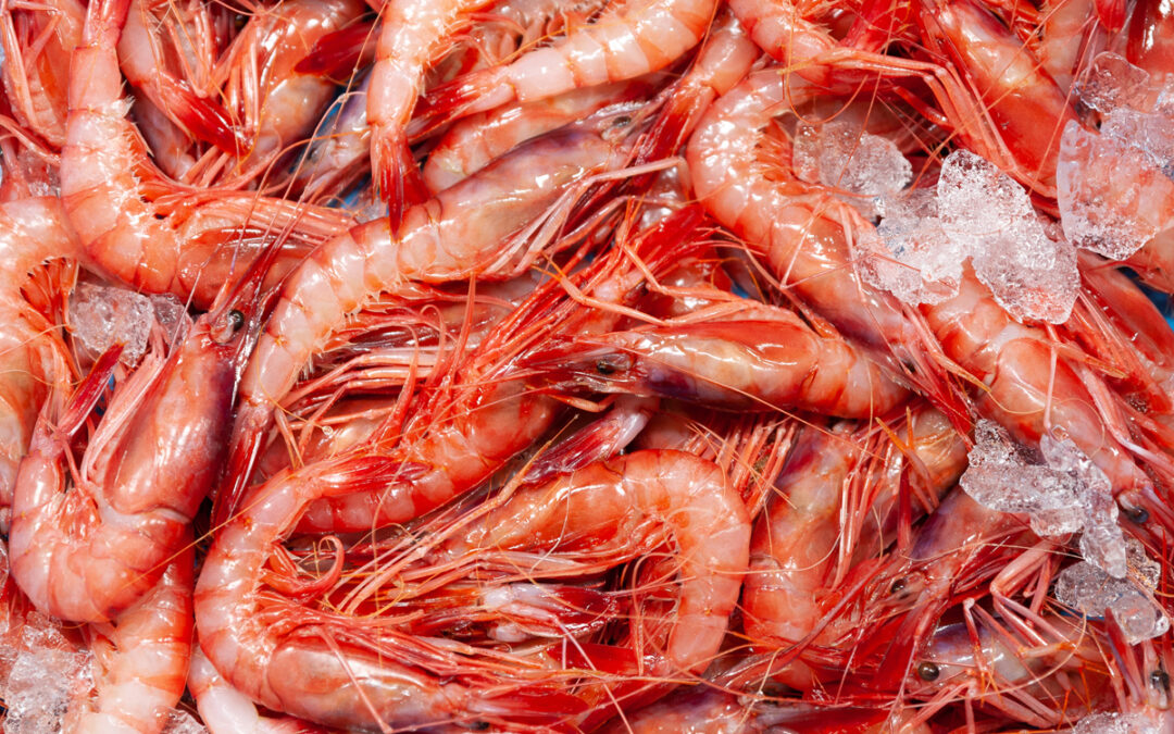 Gamba